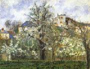 Camille Pissarro Vegetable Garden and Trees in Flower Spring oil painting reproduction